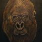 KONG 2023 Acrylique crayon hts 60 × 79,5 cm Prix 800 Euros.pdf - Copie
